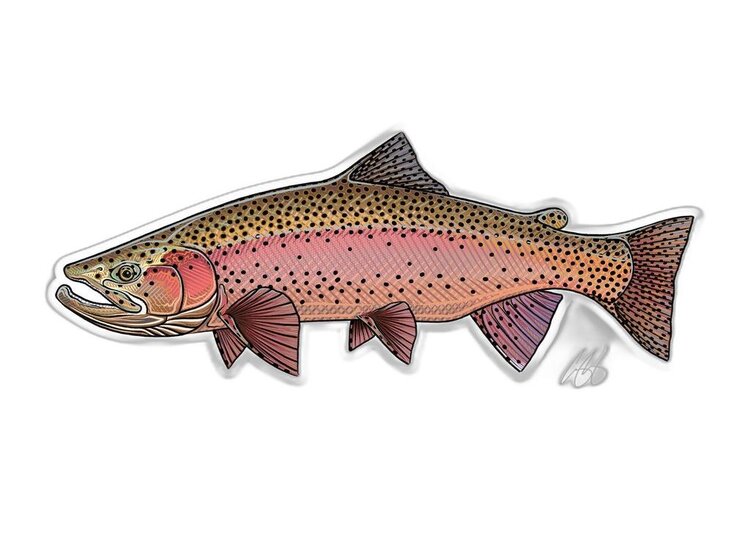 Casey Underwood Casey Underwood Fish sticker Spring Rainbow