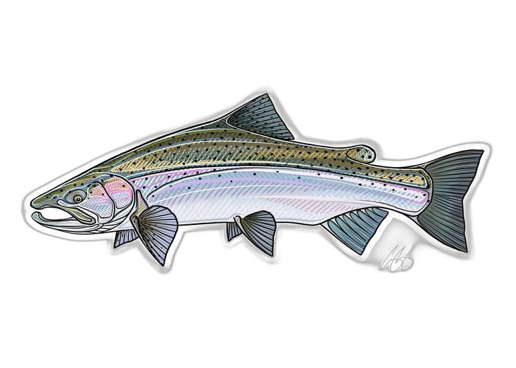 Casey Underwood Casey Underwood Fish sticker Steelhead