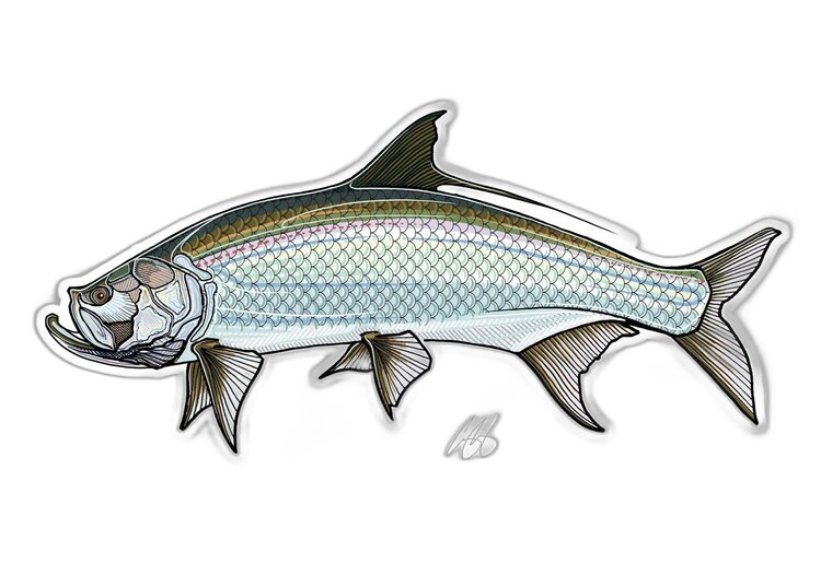 Casey Underwood Casey Underwood Fish sticker Tarpon