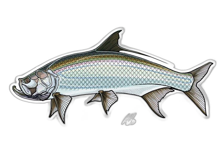 Casey Underwood Casey Underwood Fish sticker Tarpon