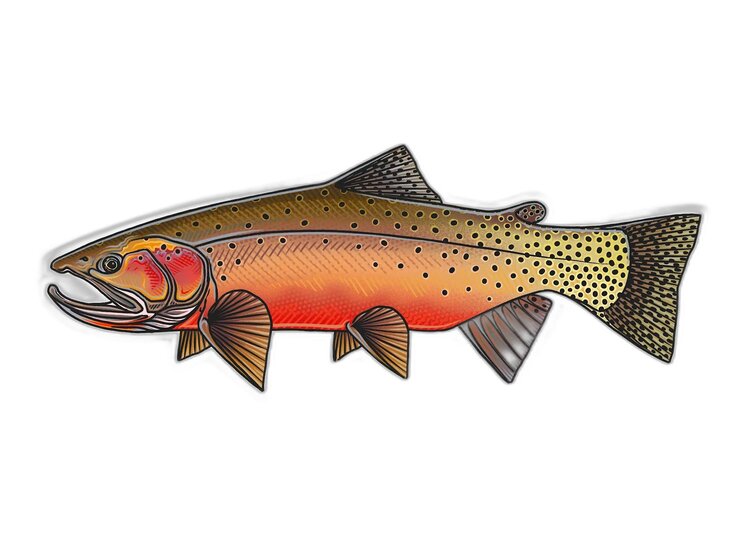 Casey Underwood Casey Underwood Fish sticker Westslope Cutthroat