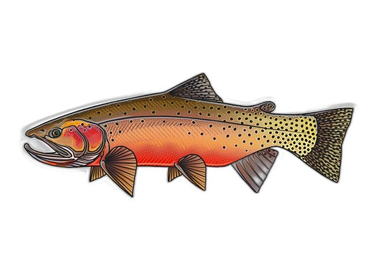 Casey Underwood Casey Underwood Fish sticker Westslope Cutthroat