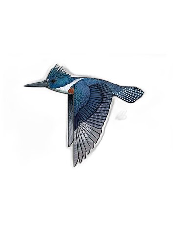 Casey Underwood Casey Underwood Bird Sticker Kingfisher