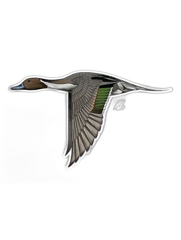 Casey Underwood Casey Underwood Bird Sticker Northern Pintail