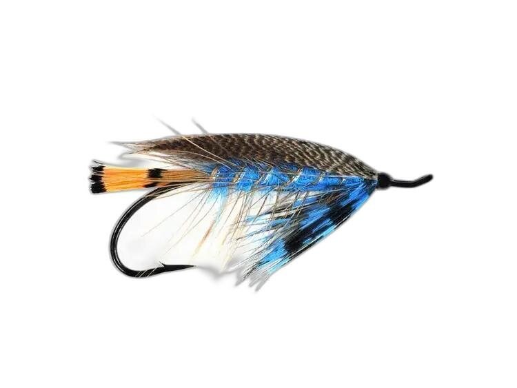 Aqua Flies The Heisenberg Sz 5