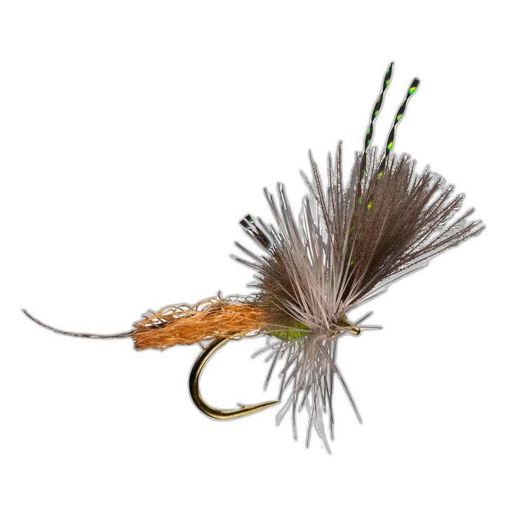 Rio Extendo BWO