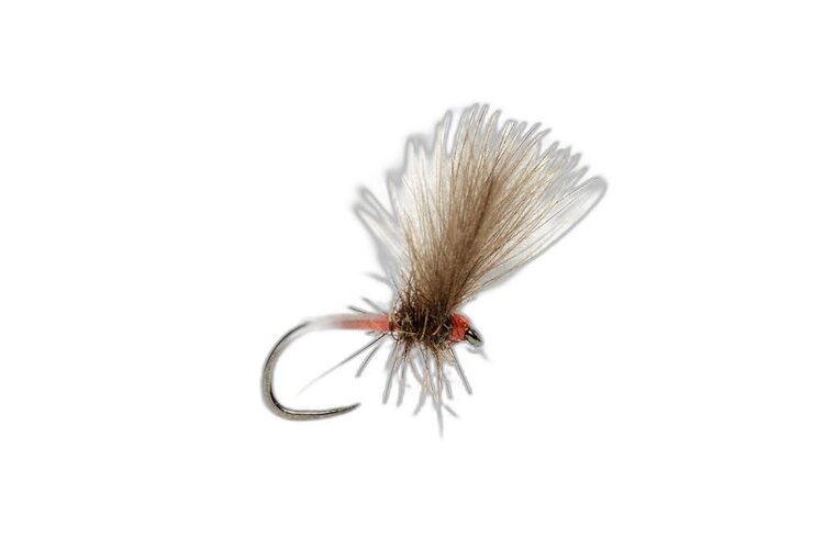 Fulling Mill Roza's Victoria's Secret