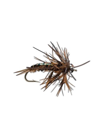 Rio Speculator Brown Sz 6