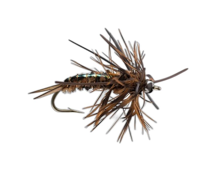 Rio Speculator Brown Sz 6