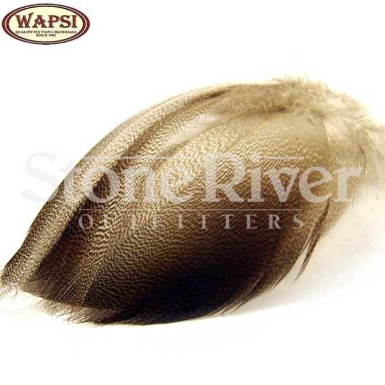 Wapsi Bronze Mallard, Large Select Spey Feathers