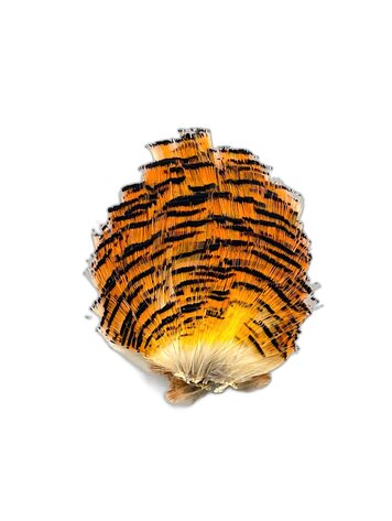 Nature's Spirit Golden Pheasant Tippets Section