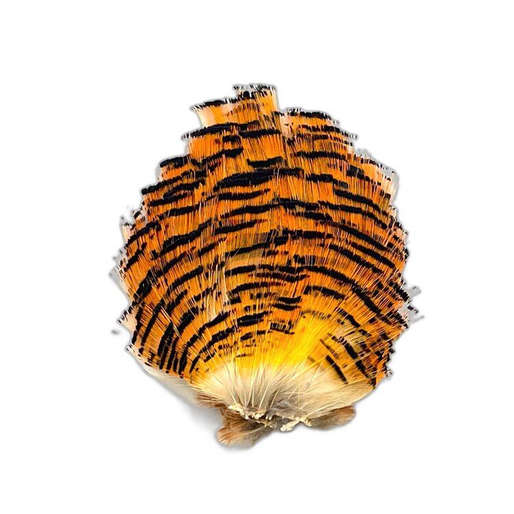 Nature's Spirit Golden Pheasant Tippets Section