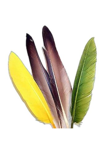Cascade Crest Tools Duck Quills Cascade Crest Tools Duck Quills