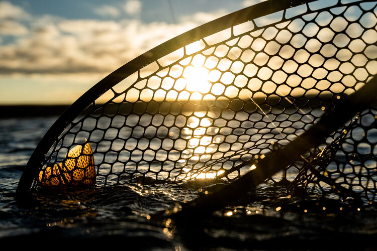 Fishpond Fishpond Nomad Boat Net