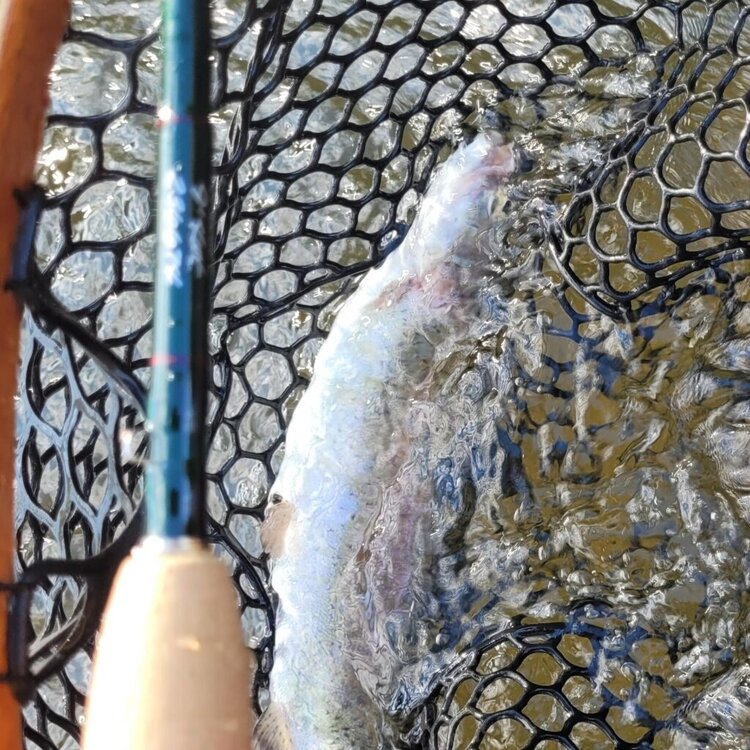 Winston Winston Jefferson Hat