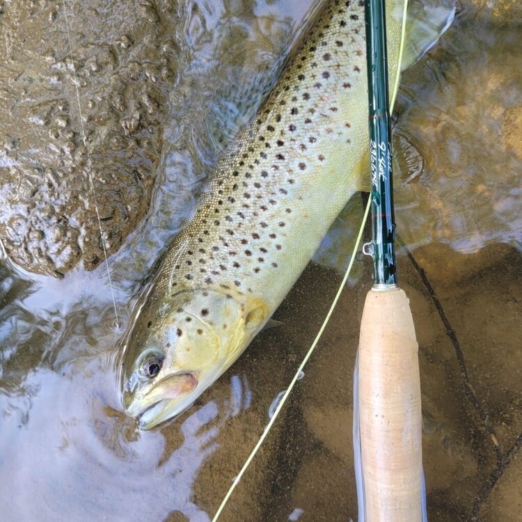 Winston Winston Jefferson Hat