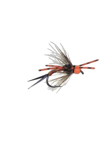 Aqua Flies Bead Head Vitamin D Orange Rubber Leg Sz 6