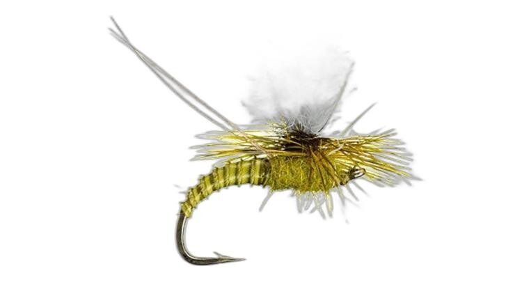 Montana Fly Co Christiaen's GT Adult Green Drake Sz 10