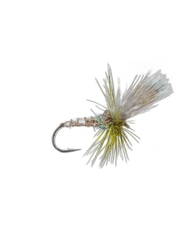 Montana Fly Co Flash Cripple Green Drake Sz 8