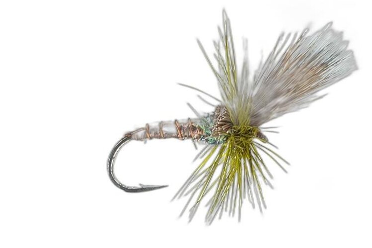 Montana Fly Co Flash Cripple Green Drake Sz 8