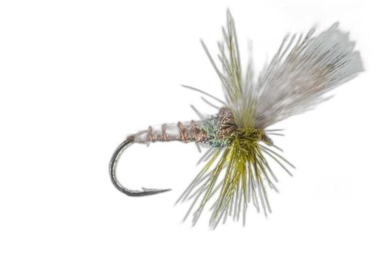 Montana Fly Co Flash Cripple Green Drake Sz 8
