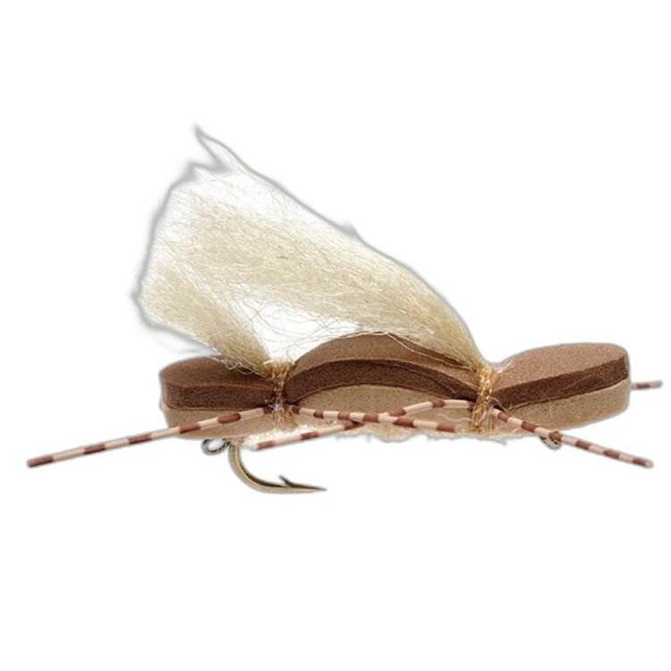 Fulling Mill Chubby Duo Tan Sz 6