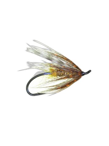 Aqua Flies Brown Hilton