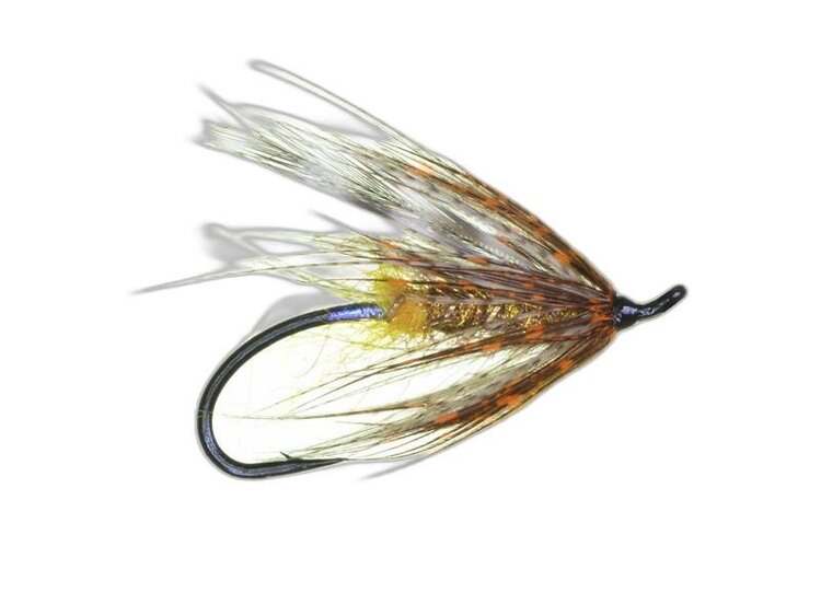 Aqua Flies Brown Hilton