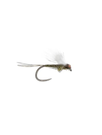 Umpqua Feather Merchants Antonio's Adult BWO