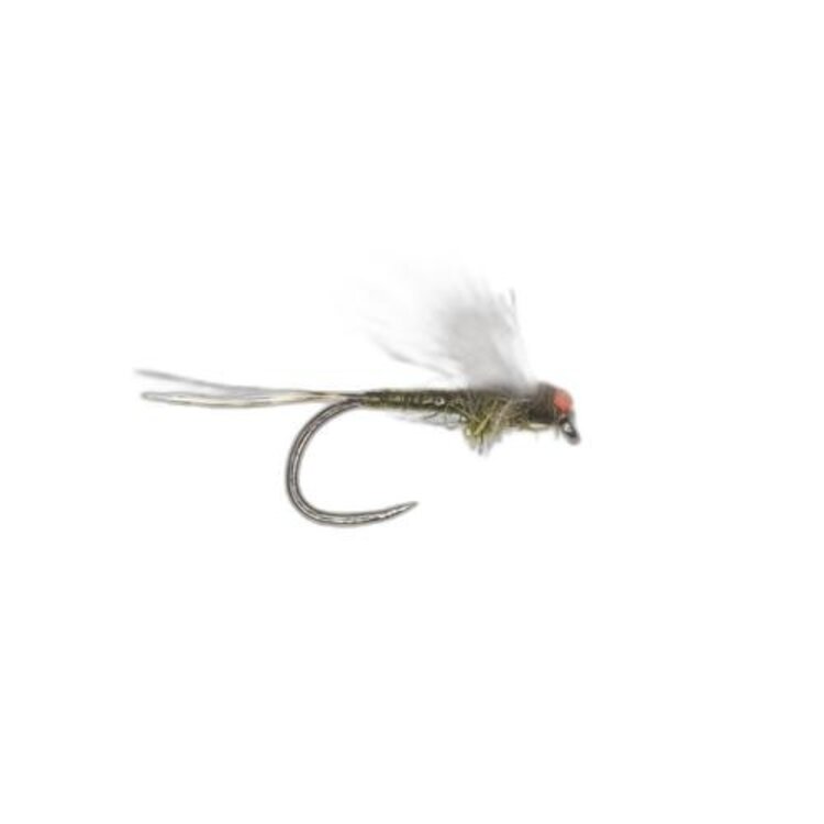 Umpqua Feather Merchants Antonio's Adult BWO