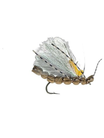 Montana Fly Co Jake's Blackout Stone Golden #8