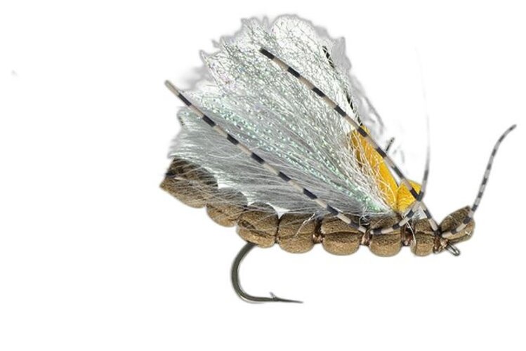 Montana Fly Co Jake's Blackout Stone Golden #8