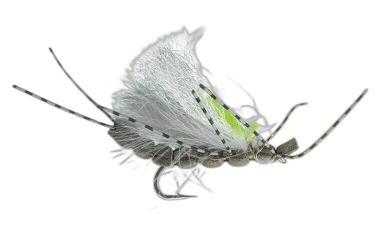 Montana Fly Co Jake's Blackout Stone Skwala #10