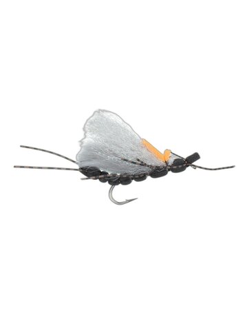 Montana Fly Co Jake's Blackout Stone Salmonfly #6