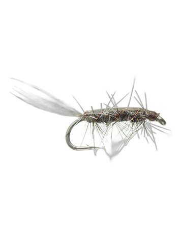 Montana Fly Co Rickards' Callibaetis Nymph - Grey 12