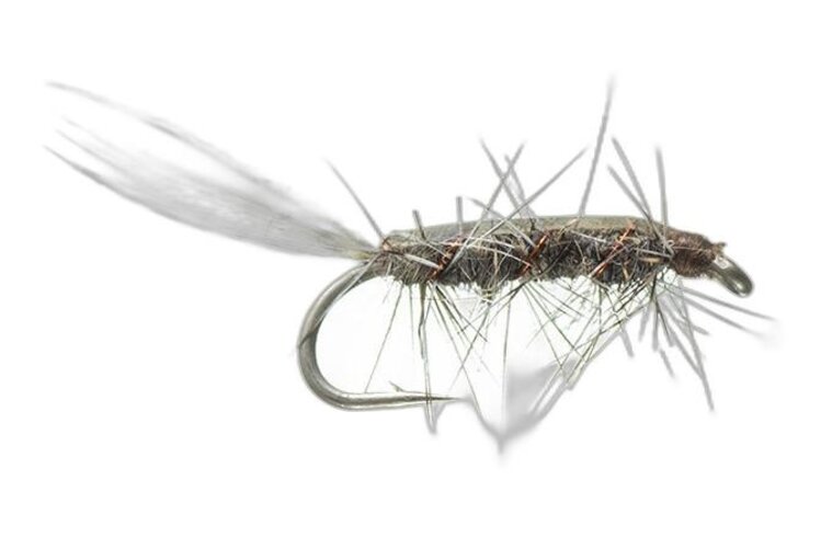 Montana Fly Co Rickards' Callibaetis Nymph - Grey 12