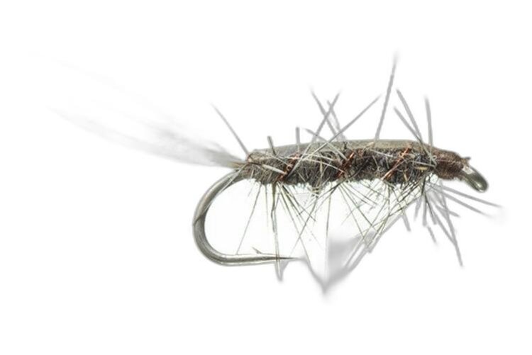 Montana Fly Co Rickards' Callibaetis Nymph - Grey 12