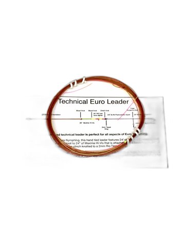 Royal Treatment Josh's Technical Euro Leader