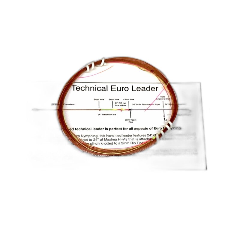 Royal Treatment Josh's Technical Euro Leader