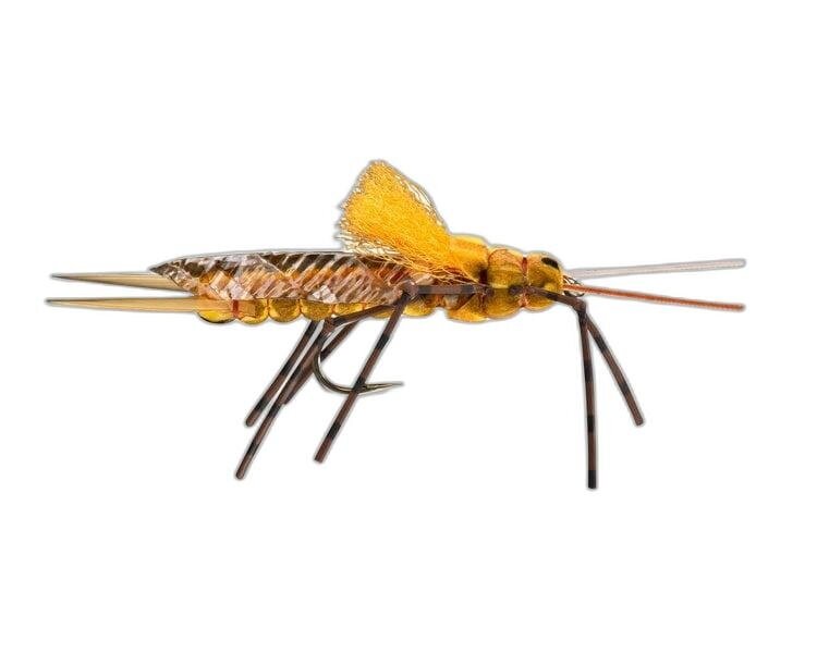 Umpqua Feather Merchants Morrish Still Stone Golden Stone Sz 8