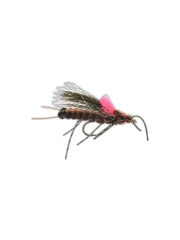 Umpqua Feather Merchants Morrish Fluttering Stone Salmon Fly Sz 6