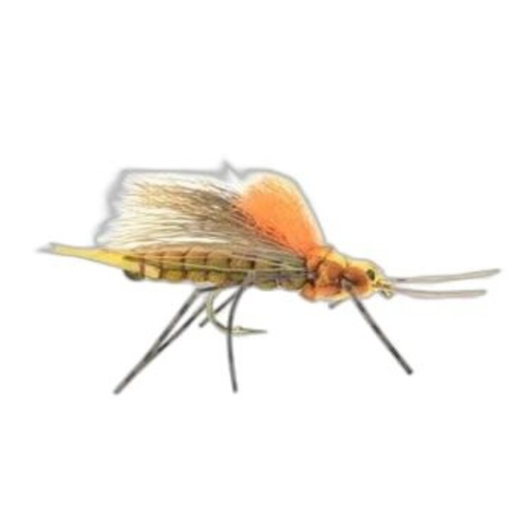 Umpqua Feather Merchants Morrish Fluttering Stone Golden Stone Sz 8