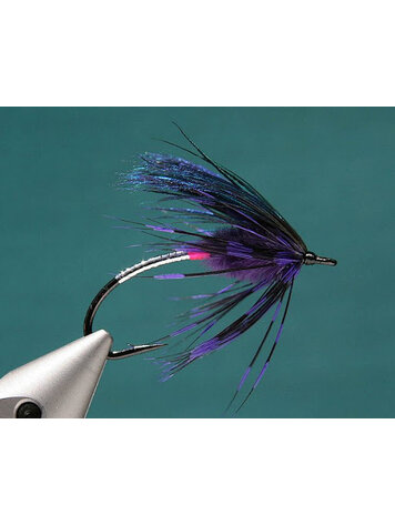 Solitude Summerberry Steelhead Fly by Joel La Follette Sz 2