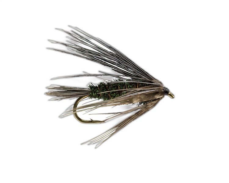 Solitude Carey Special