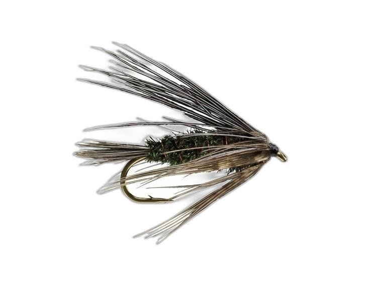 Solitude Carey Special