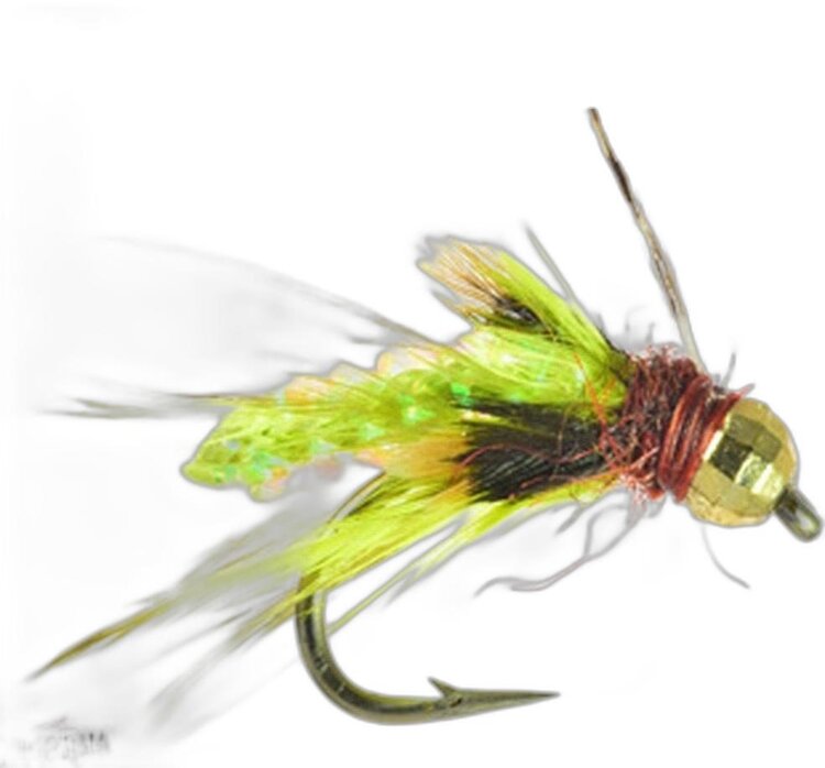 Umpqua Feather Merchants Silvey's Pupa