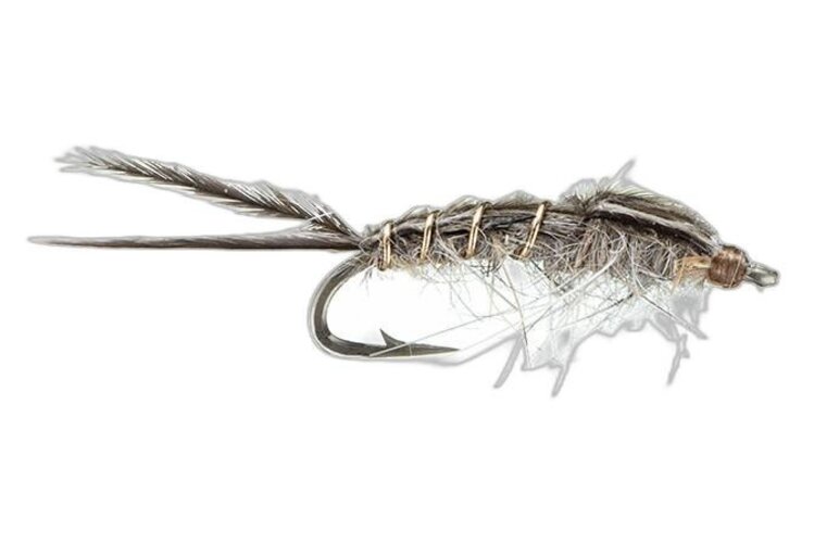 Montana Fly Co Galloup's Callibaetis Nymph