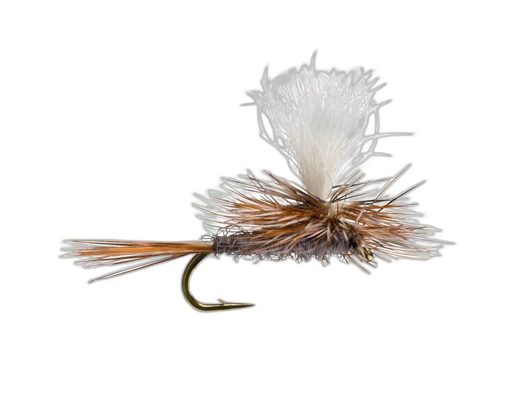 Dreamcast Parachute Adams