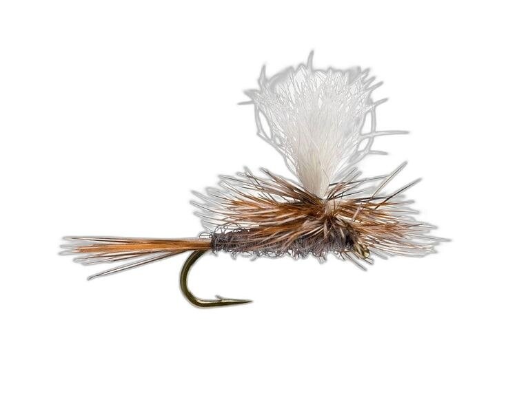 Dreamcast Parachute Adams