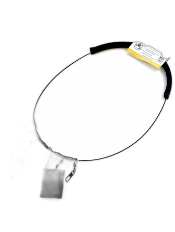 Morning Star Morning Star Lanyard